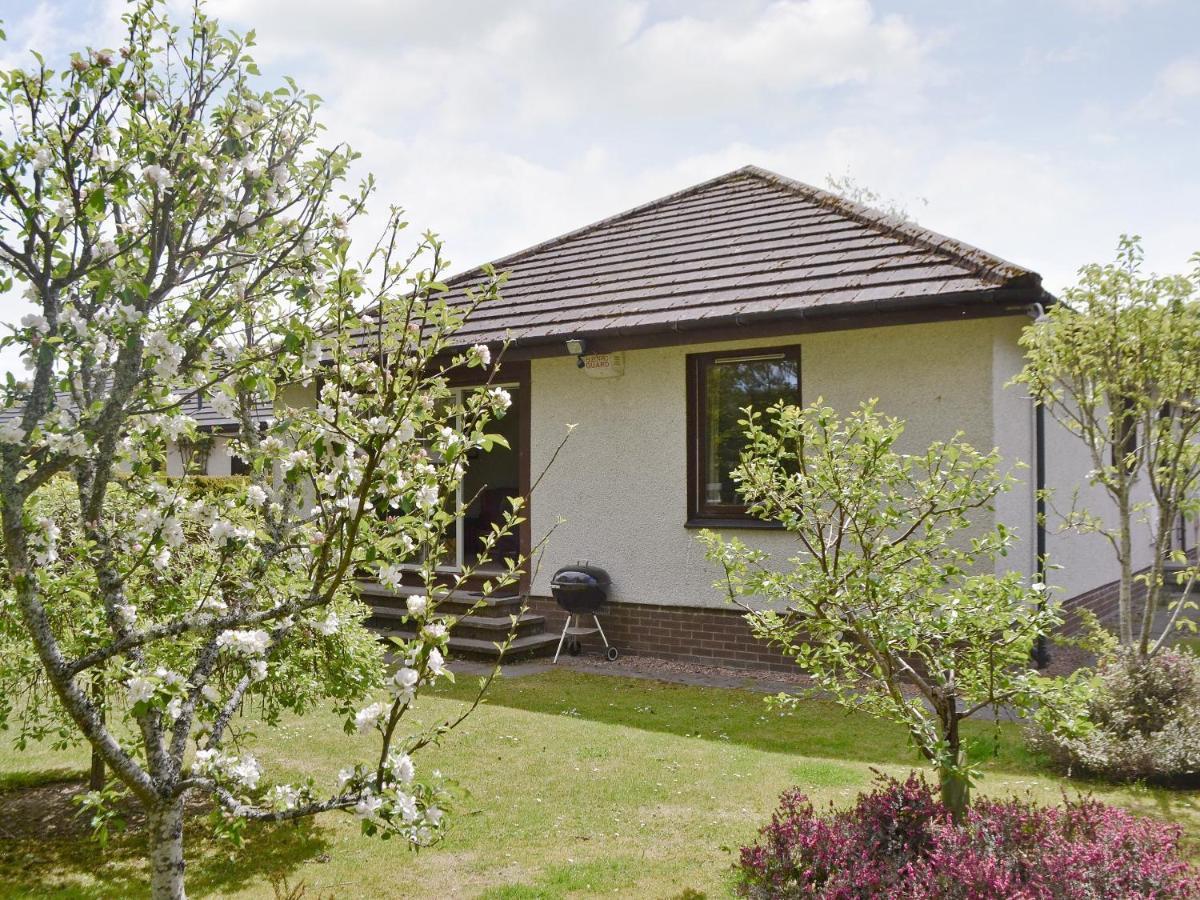 פיטלוצ'רי Kingfisher Cottage מראה חיצוני תמונה